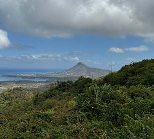 Unser erster Ausblick