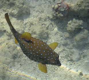 Фото с пирса