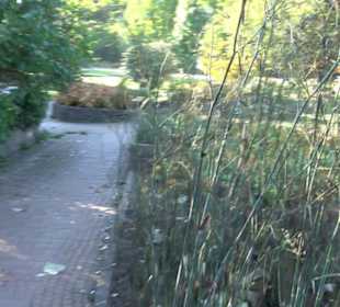 Botanischer Garten