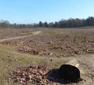 Abwechslungsreicher Weg