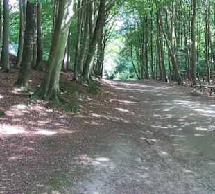 Nationalpark Jasmund