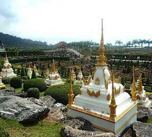 Nong Nooch