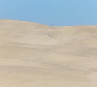Dünen von Maspalomas