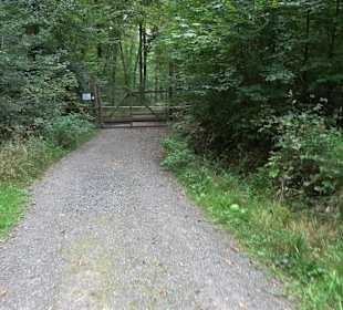 Altwege Rundwanderung Bebenhausen