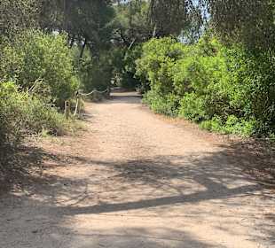 Wandern Can Picafort