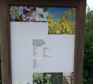 Naturinfopfad Weggental