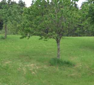 Gebetsgarten Heiligenbronn