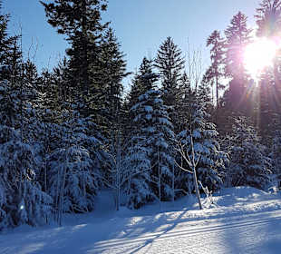 Wandern Freudenstadt