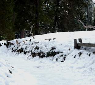 Rundweg im Schnee/Eis
