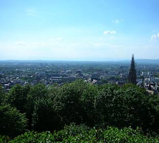Sicht über Freiburg vom Schloßberg