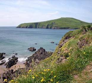 Dingle Küste