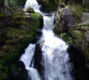 Triberger Wasserfälle