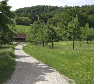 Hohenloher Freilandmuseum