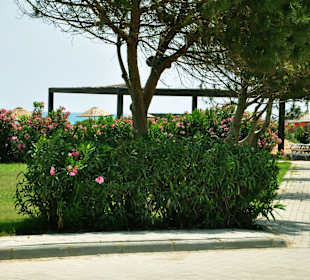Wandern Belek - Kadriye