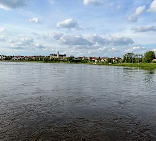 Wandern Lutherstadt Wittenberg