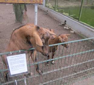 Vogelpark Kirrlach