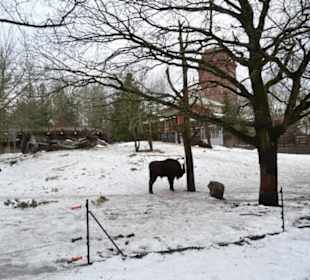 Freilichtmuseum Skansen