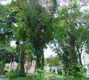 Stadtrundgang San José