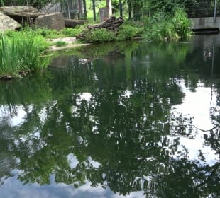 Zoo Heidelberg