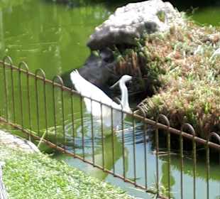 Naturpark S'Albufera