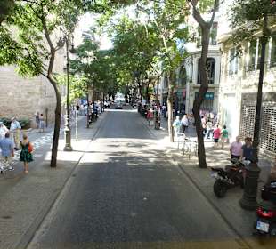 Viel grün in der Stadt