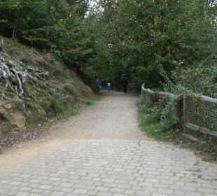 Baumkronenweg 