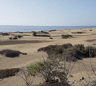 Strandpromenade Playa del Inglés