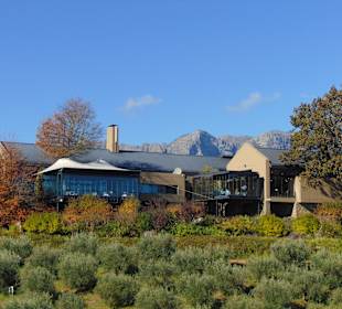 Weingut Tokara in Stellenbosch