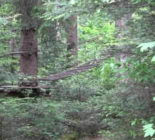 Hochseilgarten Hallwangen