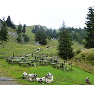 Rundwanderung Breitenstein