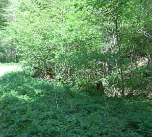 Premiumwanderweg Hochgehschätzt