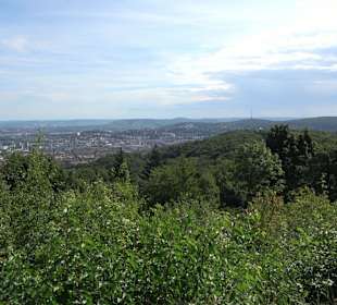 Birkenkopf