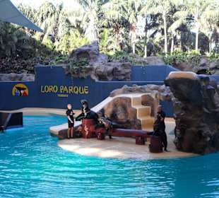 Loro Parque 