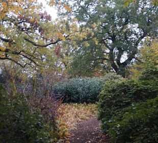 Parkanlage PParkanlage Planten un Blomen