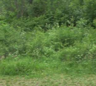 Wanderweg Märchensee Runde