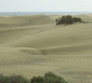 Dünen von Maspalomas