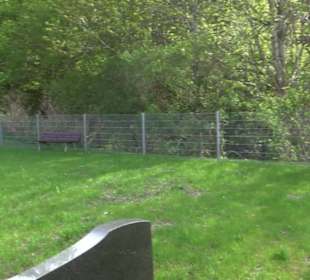 Wallfahrtskirche Mariazell Boll