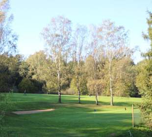 Baum- und Bunker Hindernisse