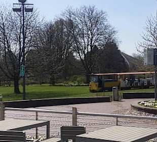 Frühling im Westfalenpark Dortmund