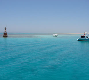 Taucherriff beim Schnorchelausflug