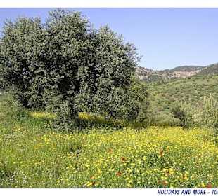 Impressionen von der Chalkidiki