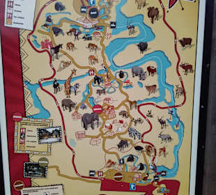 Safaripark 