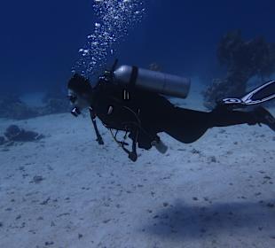 Tauchen Marsa Alam