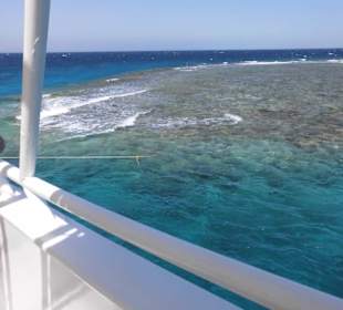 Alleine am Riff, gleich geht´s schnorcheln