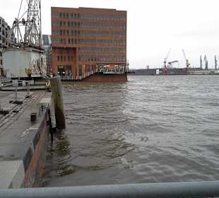 Hoher Pegelstand im Hafn