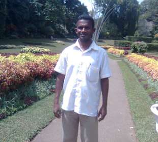 Botanischer Garten Kandy