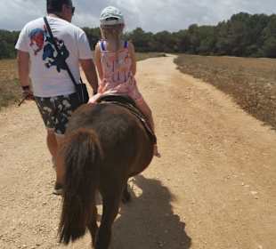 Ponyreiten 
