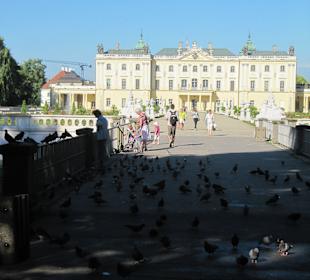 Pałac Branickich