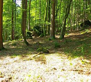 Der Therapeutische Wanderweg