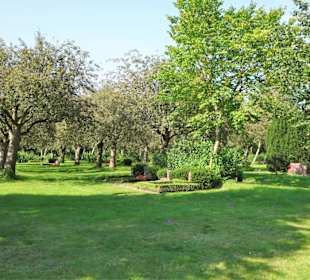 Baumfrieden auf dem Friedenshügel